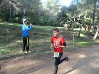 cross fabregas 2014 27