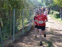 cross fabregas 2014 29