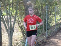 cross fabregas 2014 30