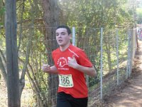 cross fabregas 2014 33