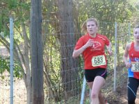 cross fabregas 2014 34