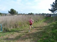 cross fabregas 2014 43