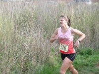 cross fabregas 2014 48