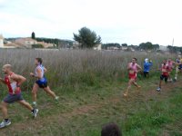 cross fabregas 2014 51