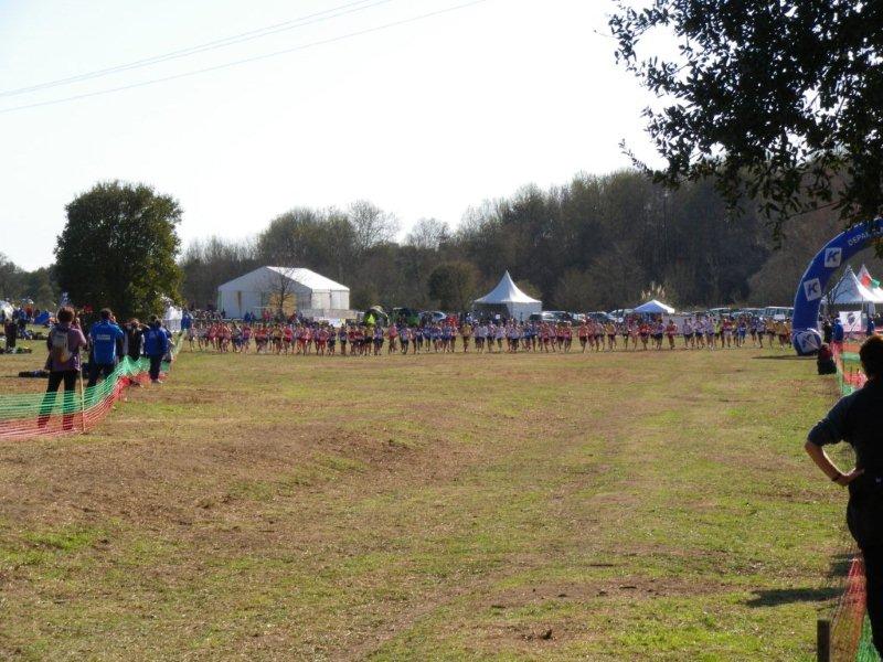 IMGP1622.jpg
