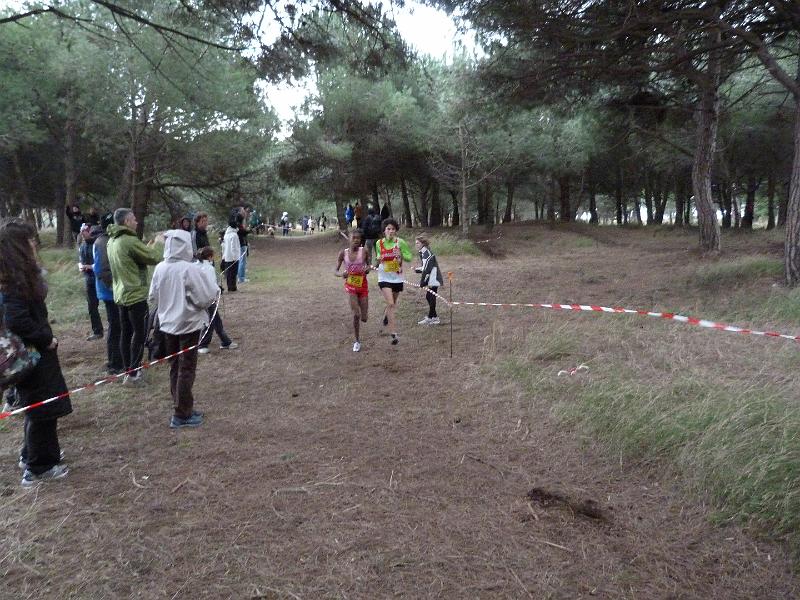 cross-hyeres_43.JPG