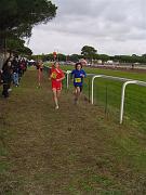 cross-hyeres_04