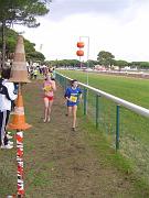 cross-hyeres_10