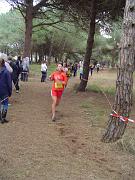 cross-hyeres_12