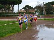 cross-hyeres_65