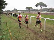 cross-hyeres_70