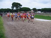 cross-hyeres_87