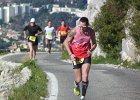 Faron 2013 08