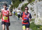 Faron 2013 12