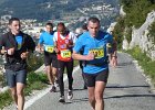Faron 2013 14
