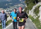 Faron 2013 15