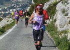 Faron 2013 17