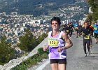 Faron 2013 19