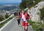 Faron 2013 22