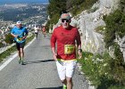 Faron 2013 23