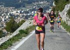 Faron 2013 24