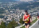 Faron 2013 28