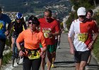 Faron 2013 29
