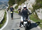 Faron 2013 31