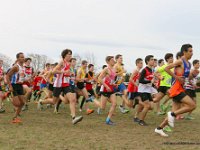 Inter Pontet 2014 13
