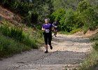 DSC 0532